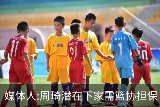 媒体人:周琦潜在下家需篮协担保 篮协不敢担保